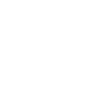ico_bota