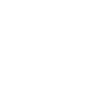 ico_info