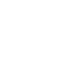 ico_ss